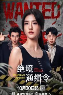 Desperate Warrant (2025)